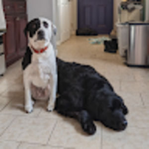 Meet your Posher, The